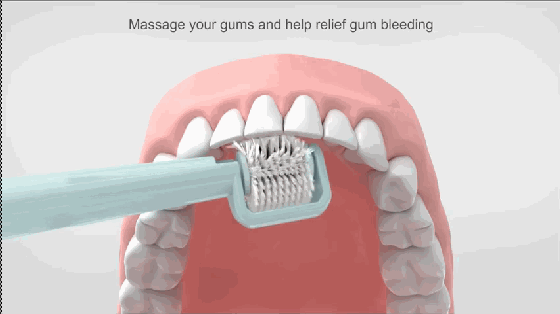A bad toothbrush The brush will vibrate even if this will rotate