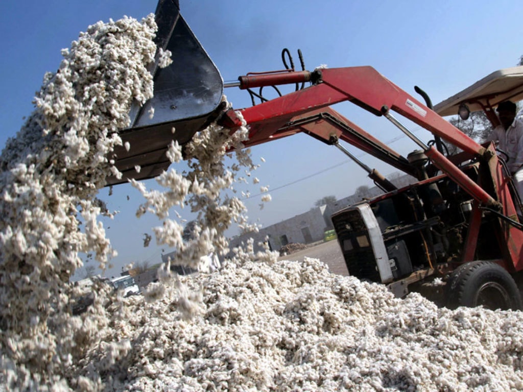 Shortage of cotton yarn risks valueadded textile exports Pakistan