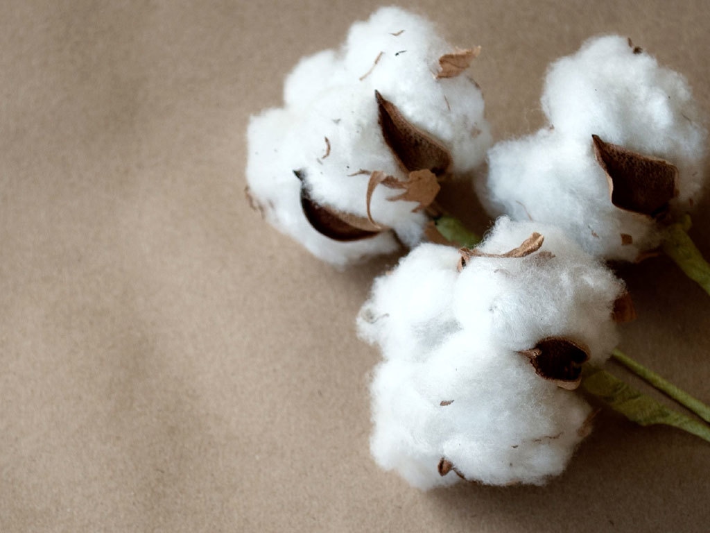 NY cotton futures fall Markets Business Recorder