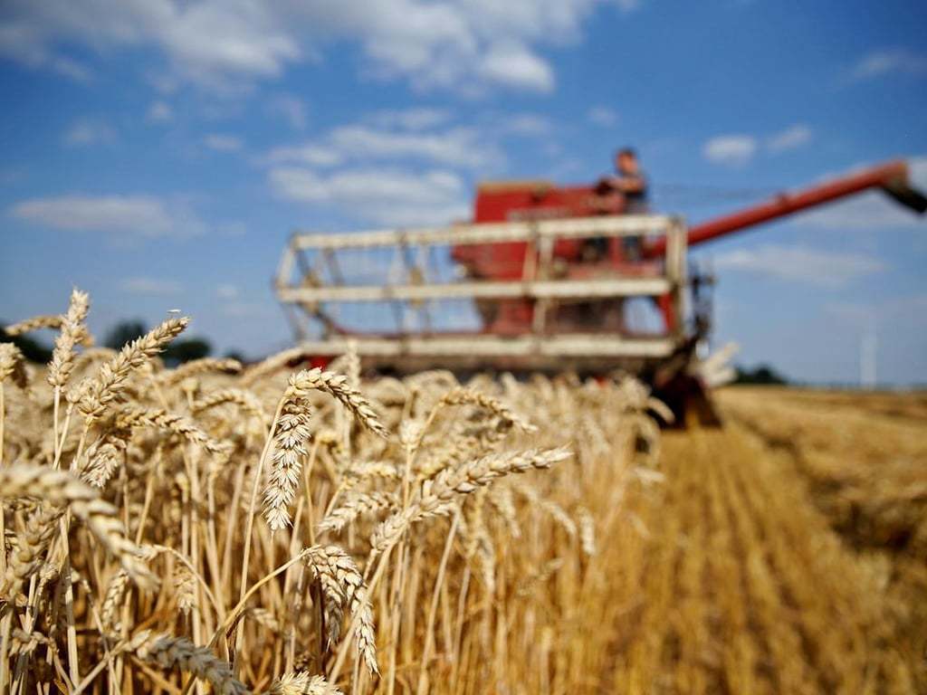 Australian wheat farmers double down after record harvest Markets