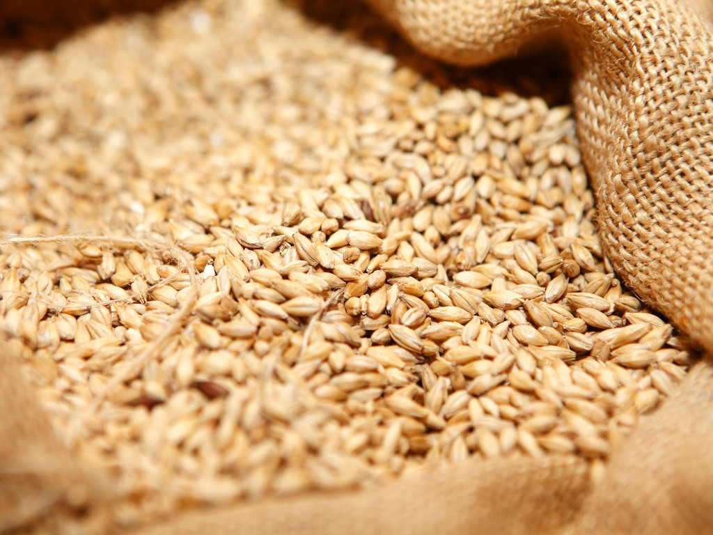 Ukraine wheat export prices start to rise Markets Business Recorder