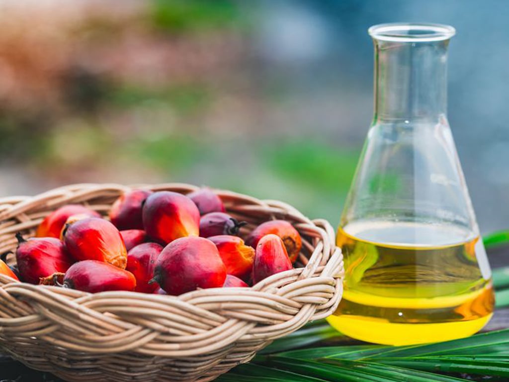 Palm oil falls 2pc as export pace slows, Indonesia taxes