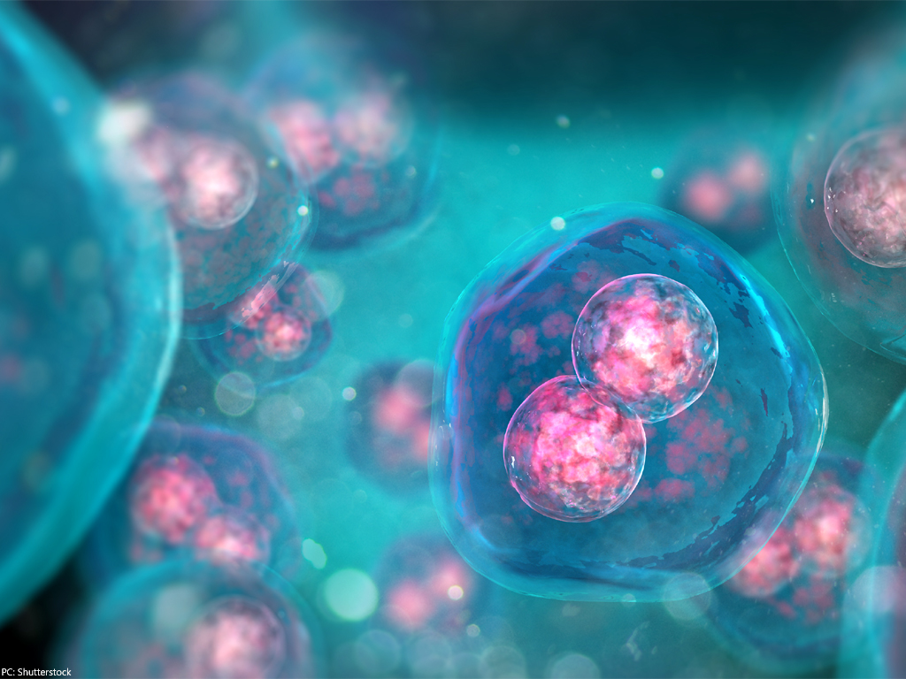 New artificial cells capable of producing their own energy via