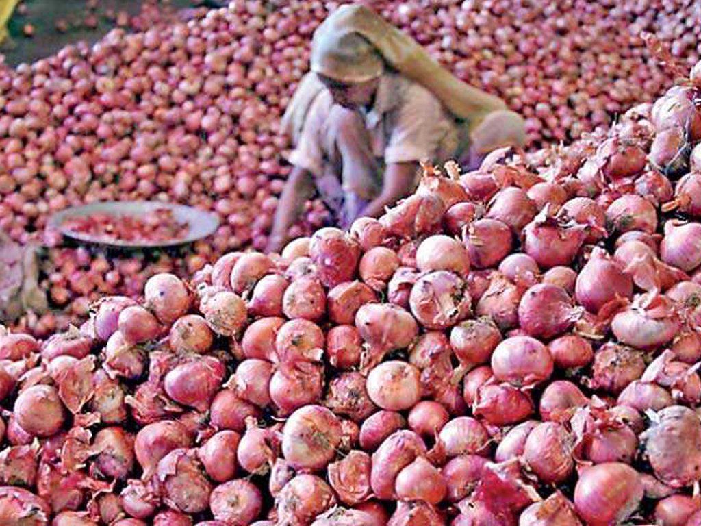 Onion prices in South Asia rise after India bans export Markets Business Recorder