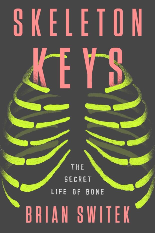 'Skeleton Keys' — a new book explores the secret life of bones CBC Radio
