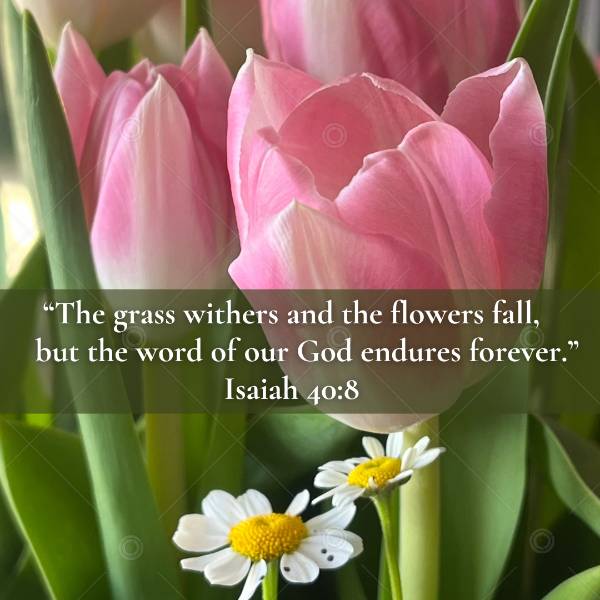 Church Social Graphic Grass Withers & Flowers Fade (Isaiah 408