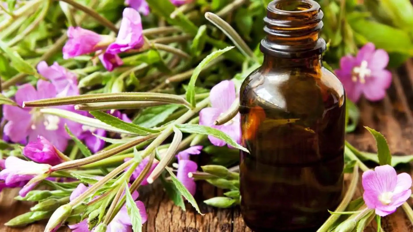 Know about flower therapy, a completely natural form of healing