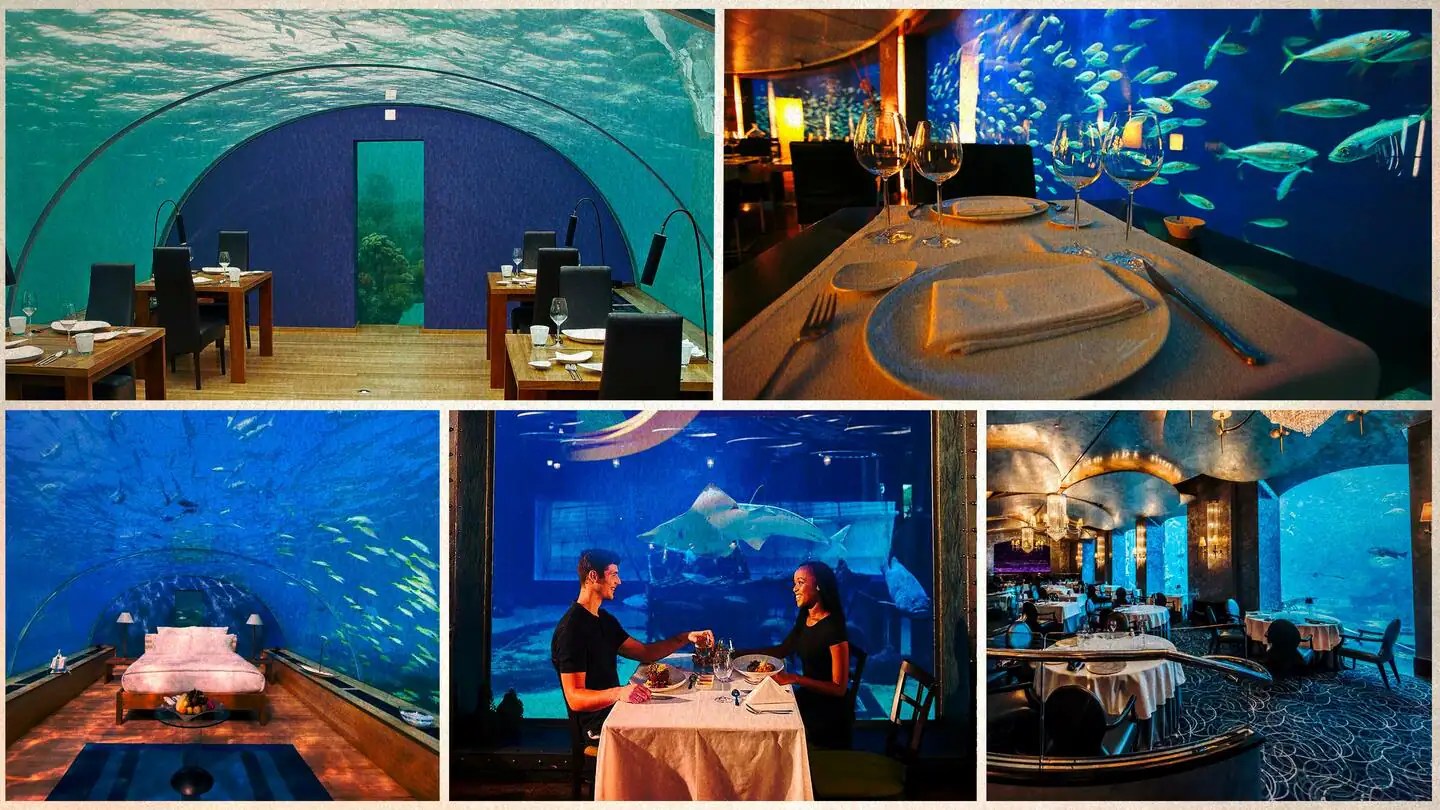Five of the mostmesmerizing underwater restaurants around the world