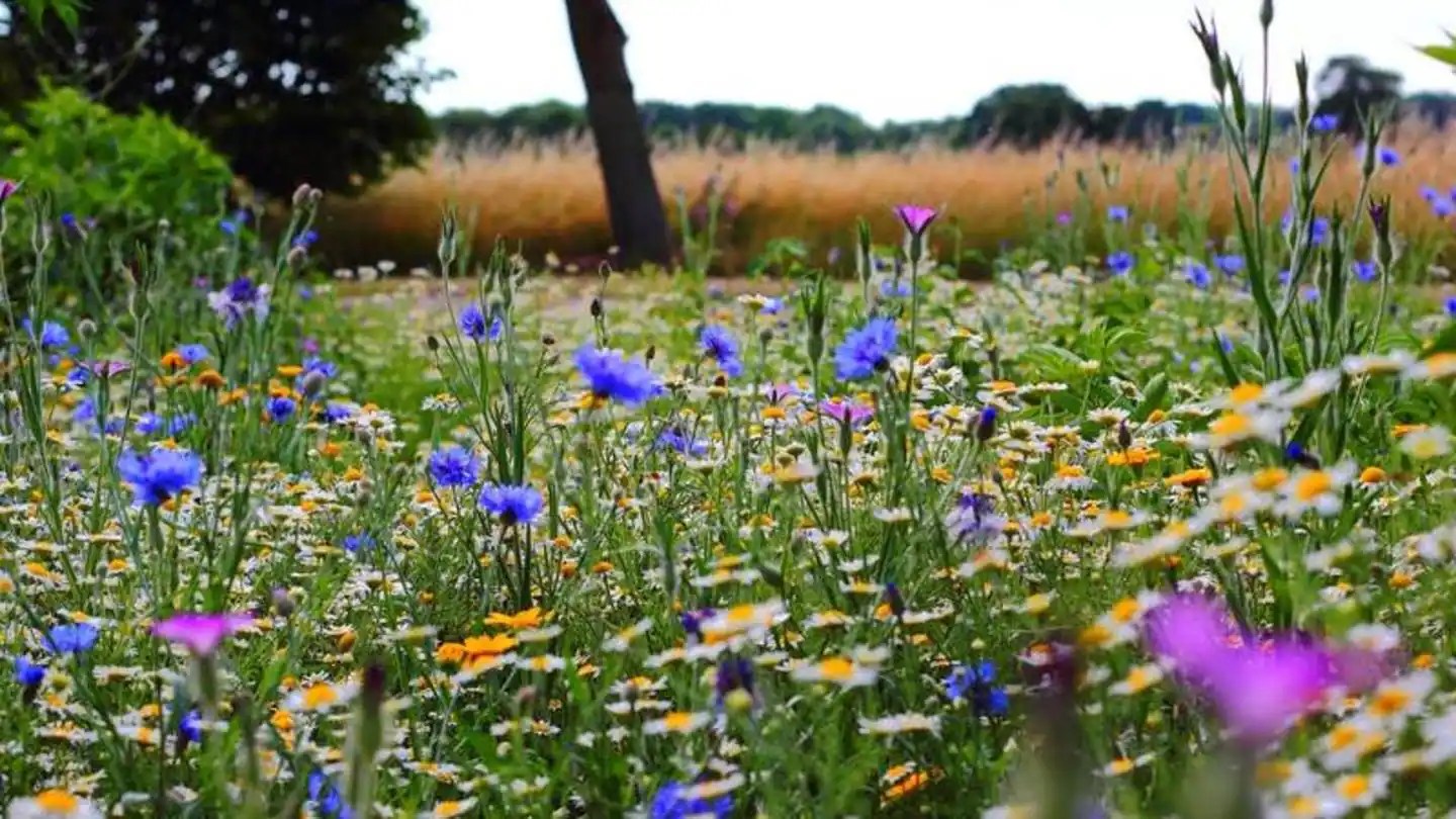 5 reasons why spring is the happiest season