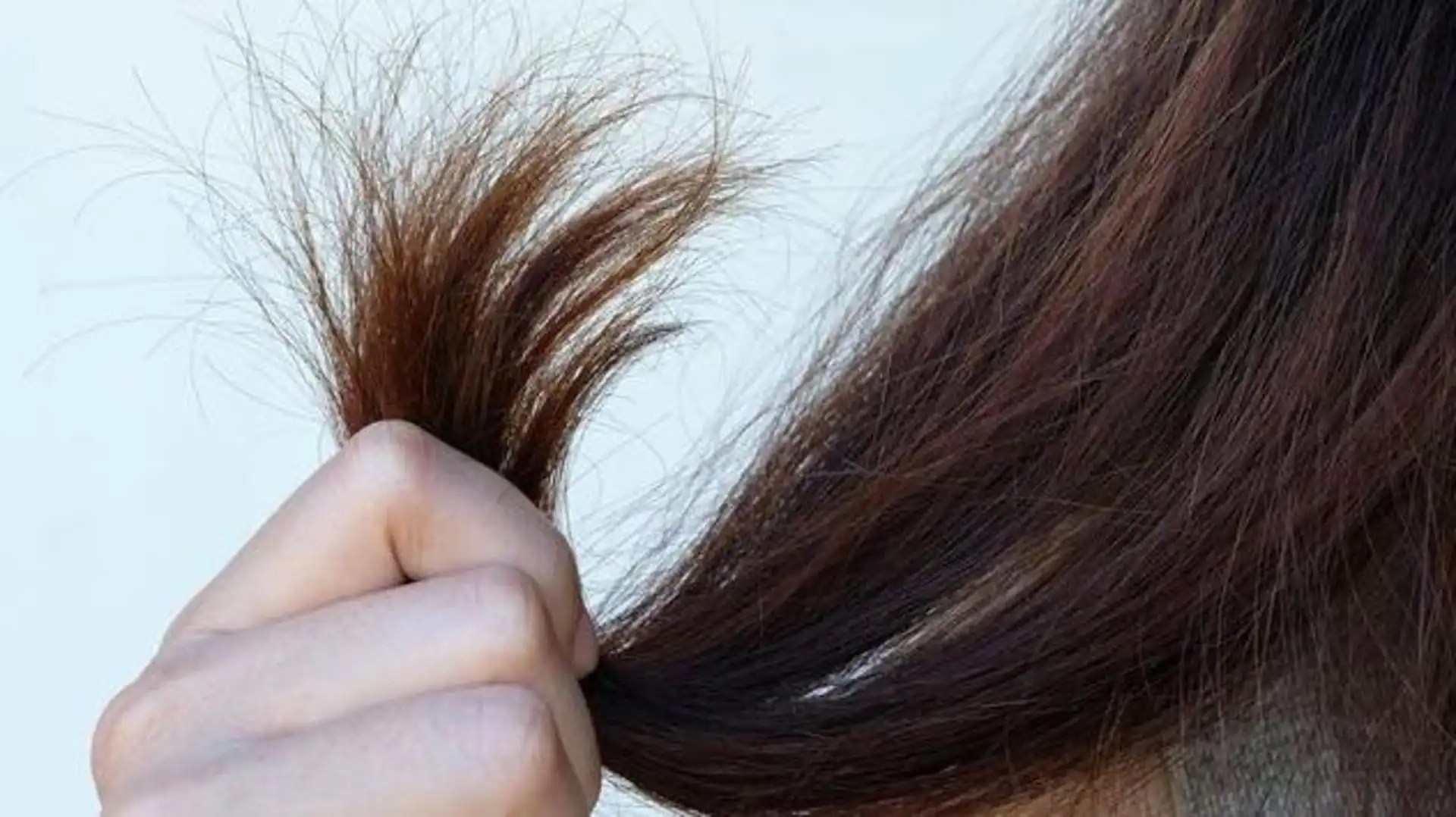 Brittle hair Reasons and how to treat them