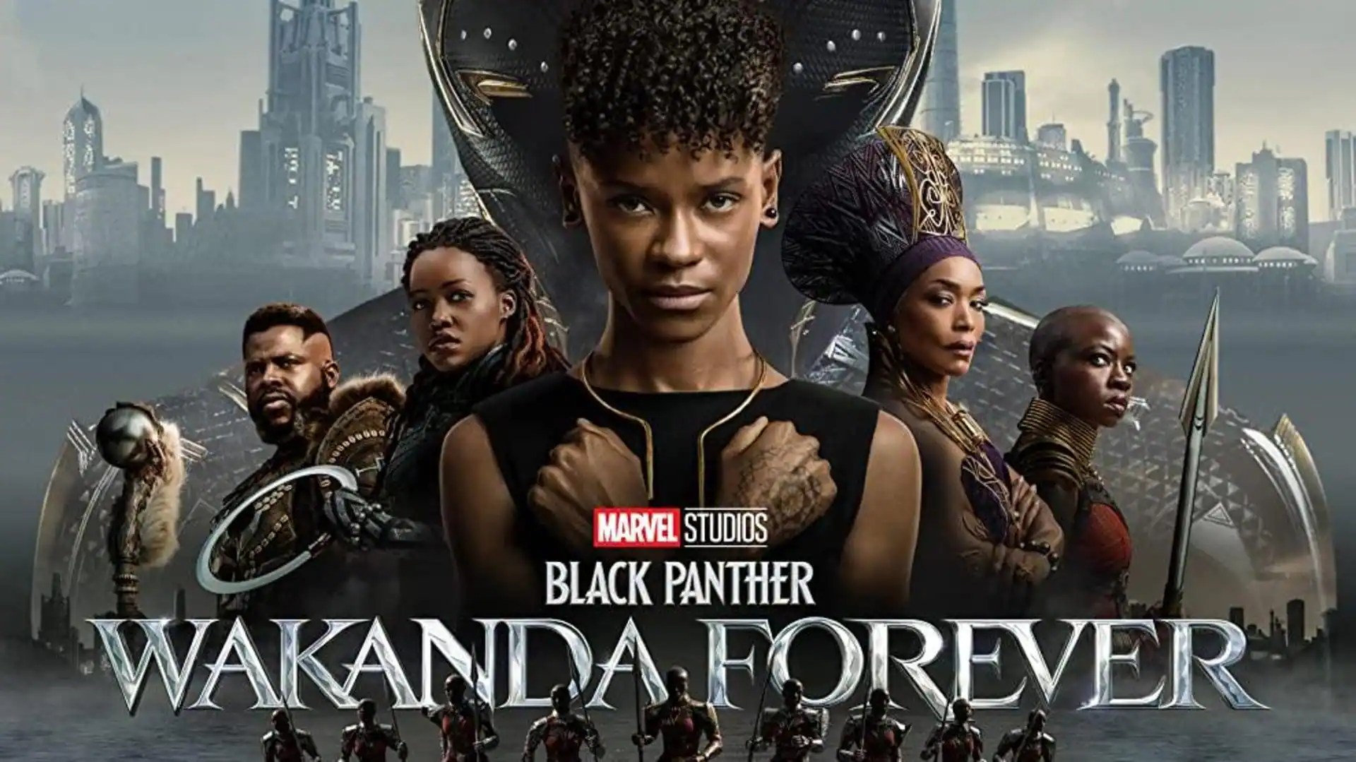 Here's your character guide sheet for 'Black Panther Wakanda Forever'