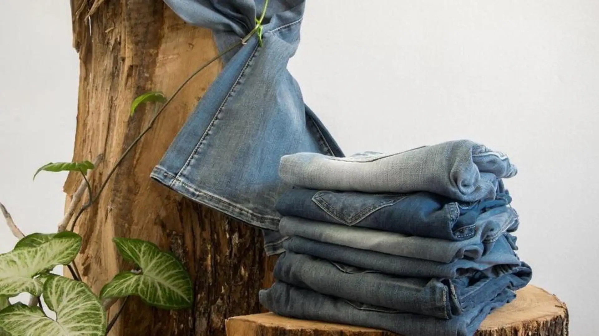 Sustainable denim is the new cool for ecoconscious fashionistas
