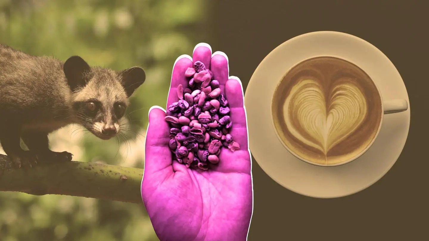 International Coffee Day 2022 5 most bizarre coffees ever