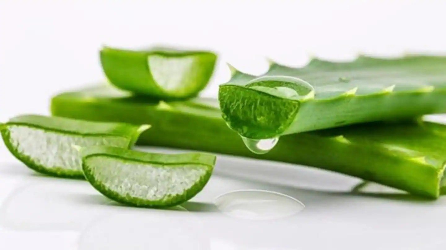 Have aloe vera plant at home? Make these hair masks