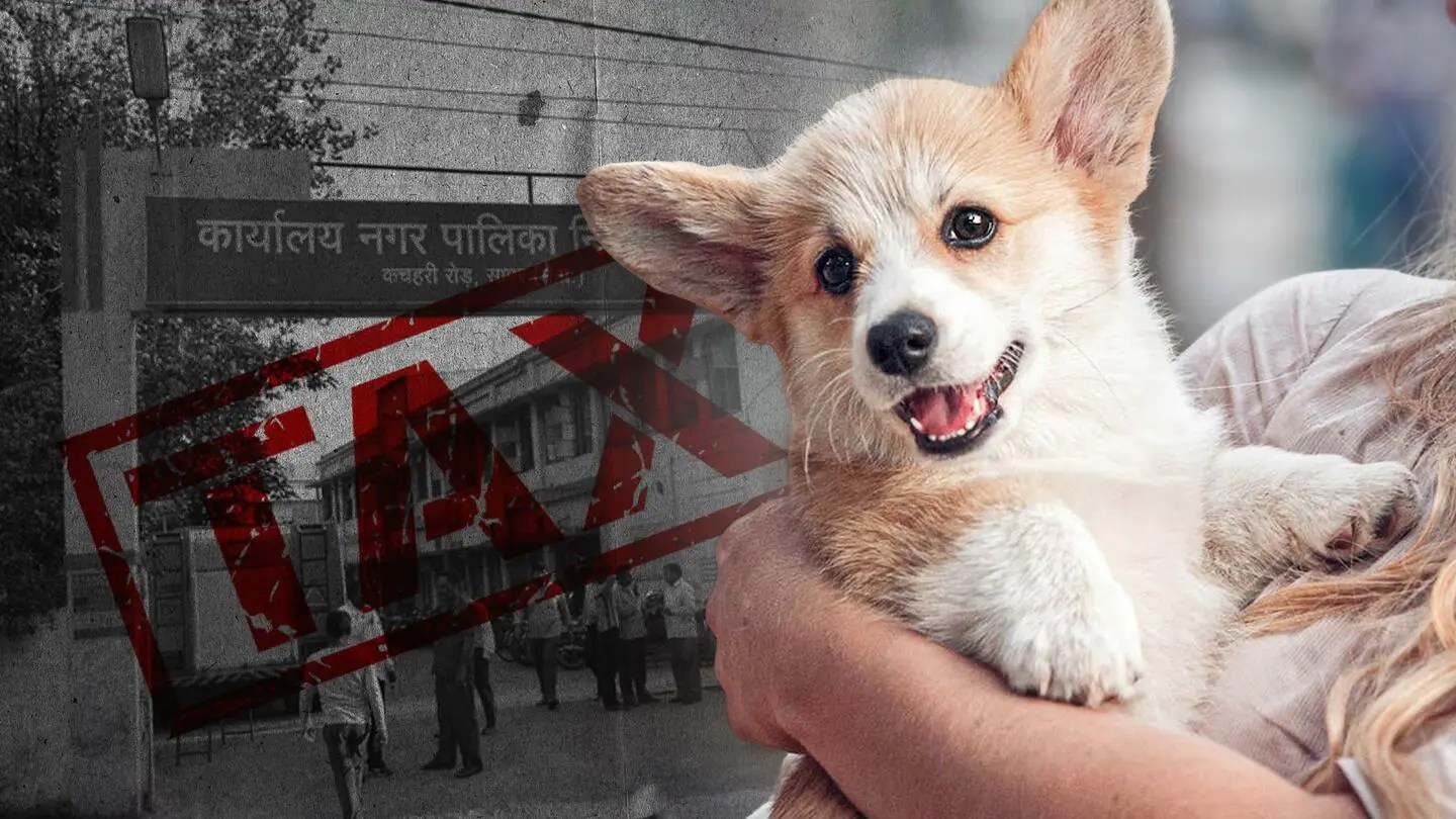 Madhya Pradesh Pet dog owners to be taxed in Sagar