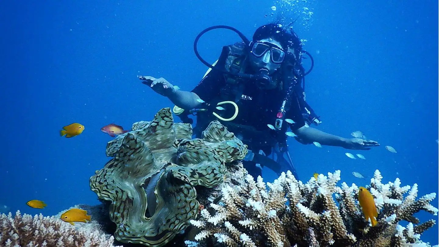 5 best places in India to try scuba diving