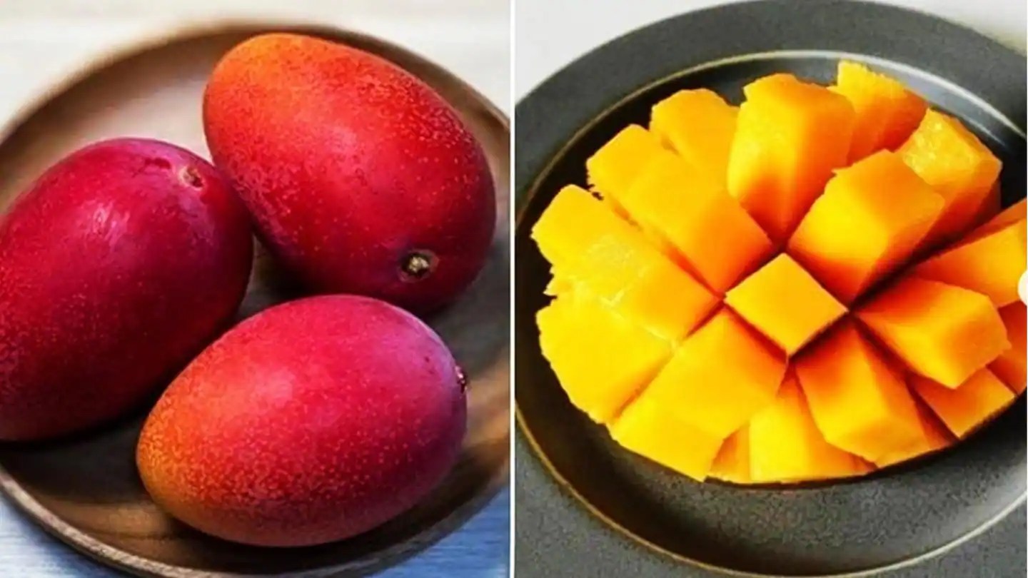 All about Miyazaki, the costliest variety of mango