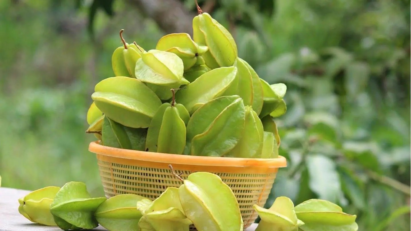 Weight loss, good sleep Potential benefits of eating star fruit
