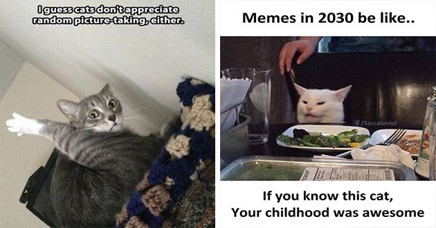 Funny Random Memes Lol Why Funny Funnystuff Grumpycat