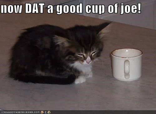 Large Cup O Joe Please And Don T Skimp On The Sugar Or I Ll