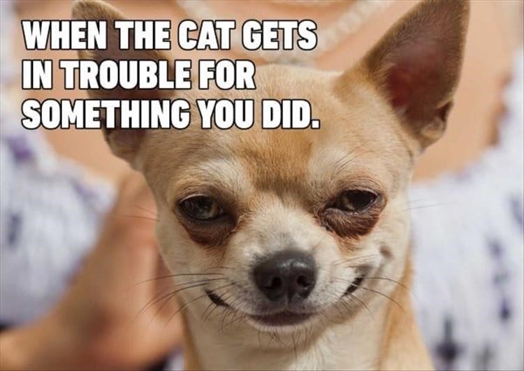 Pin On Funny