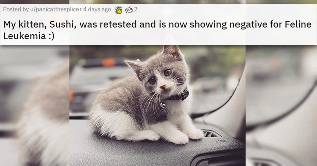 Pin By Ace On Pure Cute Love Memes Love Memes Cute Memes