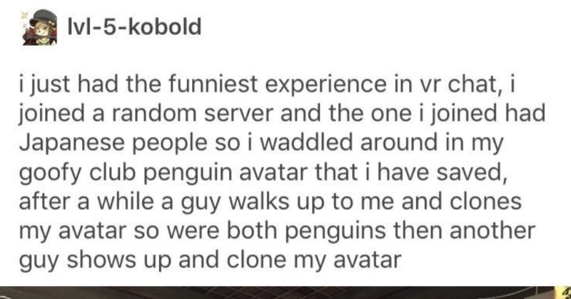 26 Memes So Random You Ll Rawr Xd Funny Gallery
