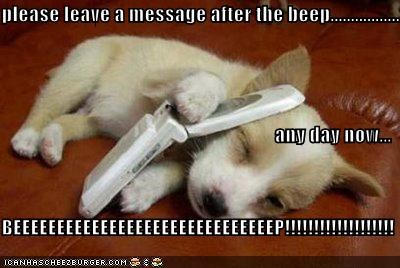 Please Leave By Nedesem Meme Center
