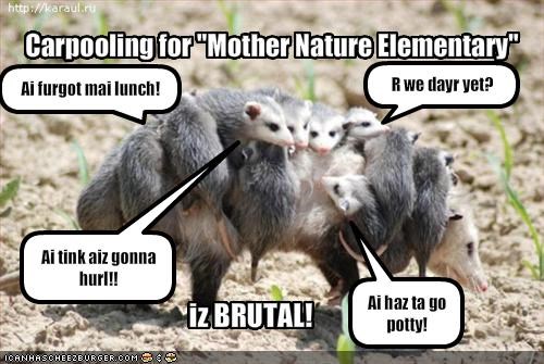 Nature Is Brutal Imgflip