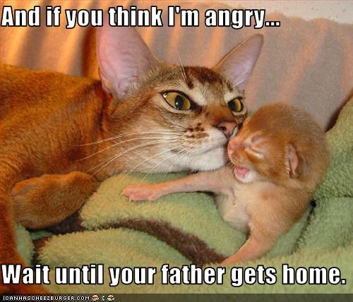 99 Funniest Dad Jokes Bored Panda