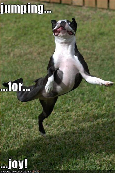 50 Hilarious Reactions To Marie Kondo That Will Bring You Joy