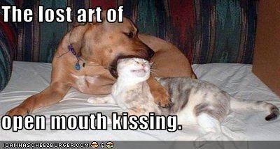 Insert Kiss Please What I See In The Early Morning As Mika