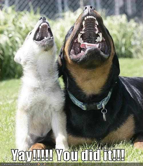 Congratulations You Did It Cheezburger Funny Memes Funny