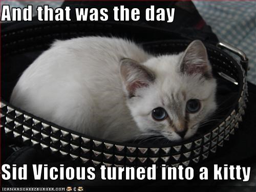 Sunday Gunday 8 Vicious Memes About The War Between 9mm And 45 Acp