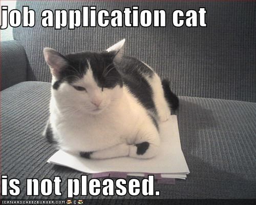 Tells You To Cut Your Hair For An Online Job Application Old