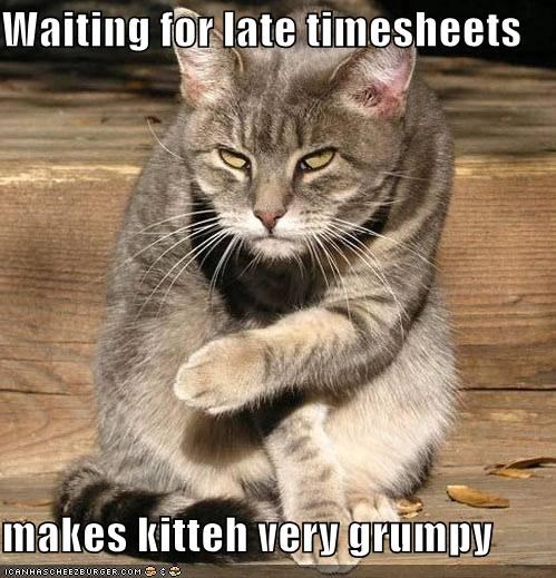 Funny Quotes About Timesheets Quotesgram