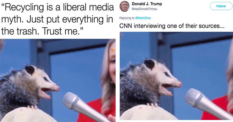 The Best Memes Of 2019 From Powerful Shaggy To Game Of Thrones