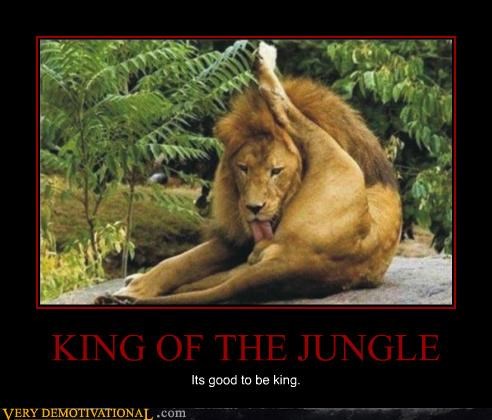 Some Things I Ve Saved While On The Throne Lion King Funny