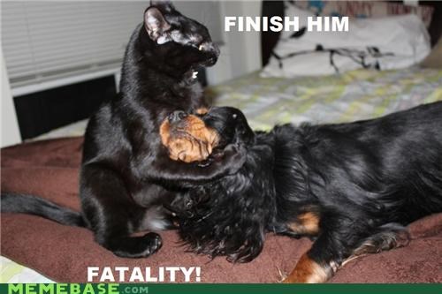 Mortal Kombat Fake Fatalities 1 Of 11 Finish Him Fatality