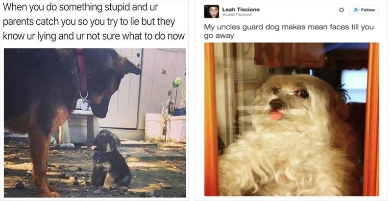 36 Hilarious Memes That Are Impossible Not To Laugh At Funny