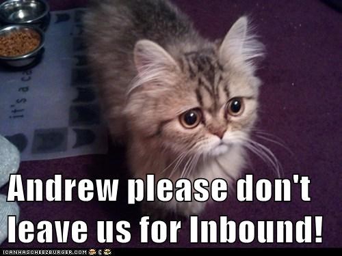 Please Don T Leave Us Fallen Kitten Meme Generator