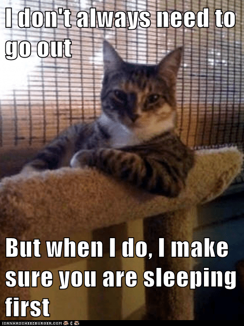 Animal Memes The Most Interesting Cat In The World No It Can T Wait I Can Has Cheezburger