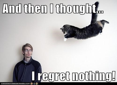 Someone Sent Me A Cat Meme To Cheer Me Up I Regret Nothing 9gag
