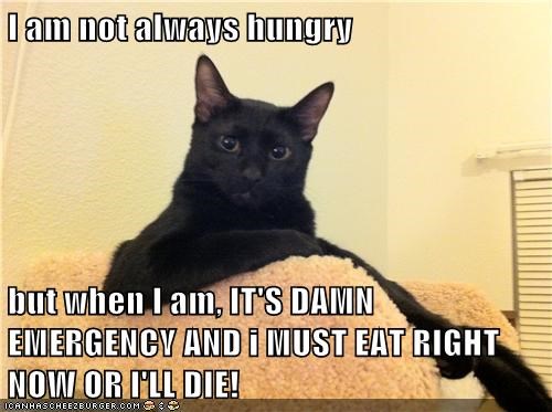 20 Hungry Memes You Ll Find Too Familiar Sayingimages Com