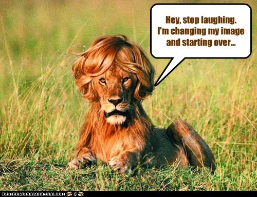 Lion Laugh For Android Apk Download