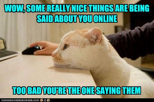 Internet Memes 8 Youtube