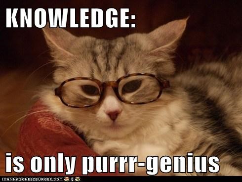 Yeah You Are The Only Genius By Finnbogasson Meme Center