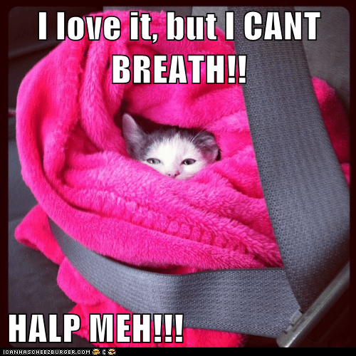 Jackson Galaxy Reveals How To Tell Your Cat I Love You Chewy