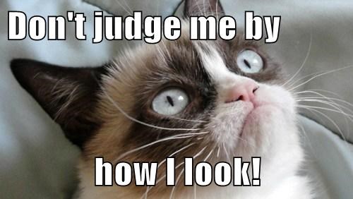 Number One Your Honor Just Look At Him Judge Should Be Like