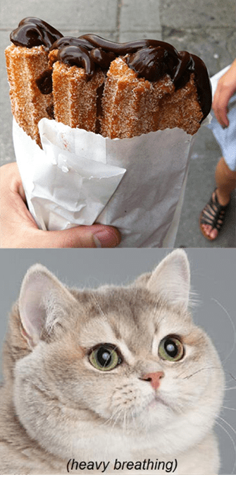 Create Meme Heavy Breathing Cat Cat Meme Evil Bane